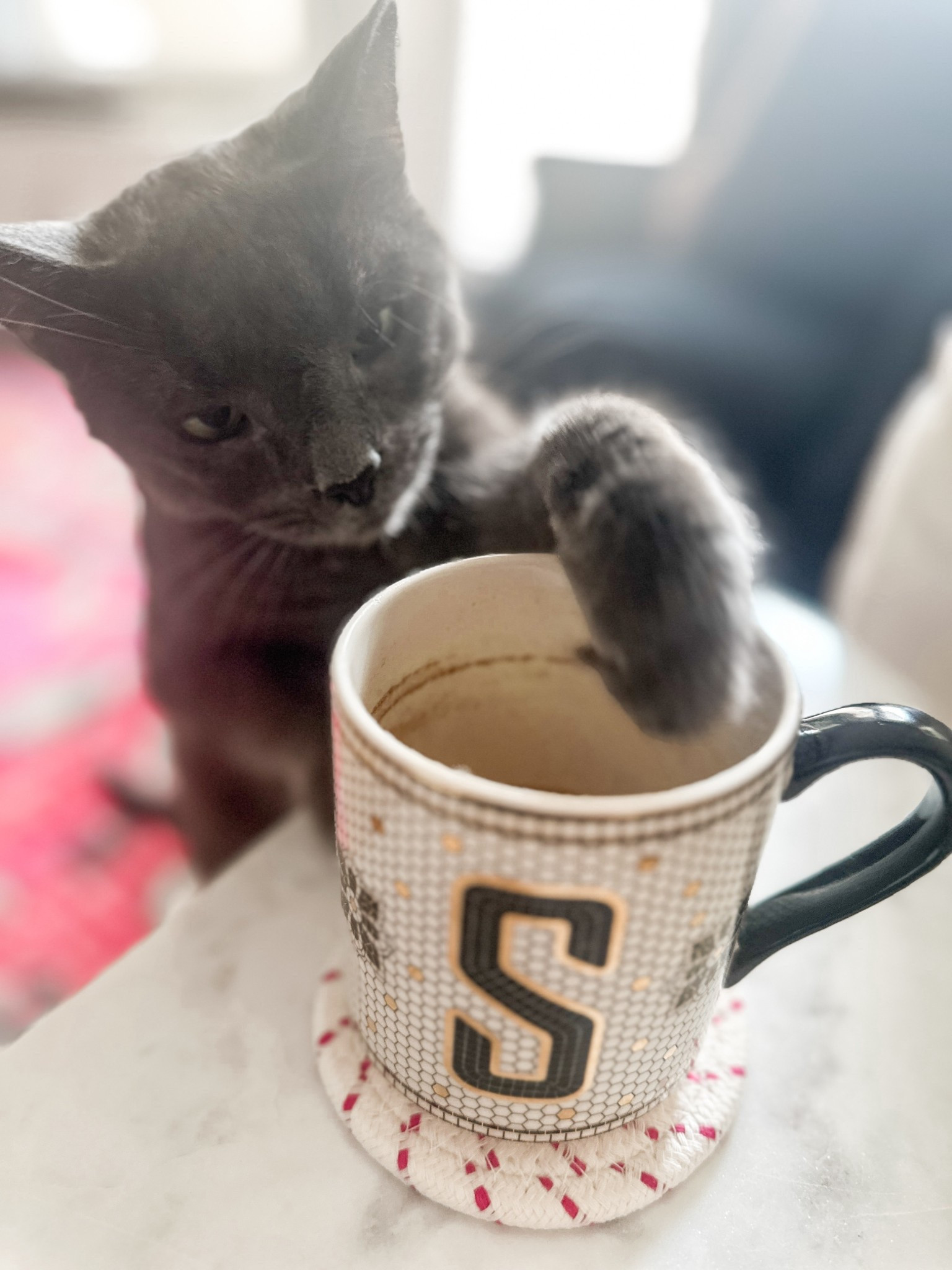 Someone has discovered coffee 😅😂 he’s obsessed! I might have to switch to lid-covered mugs from now on. Which is a shame because I absolutely love this Anthropologie mosaic bistro mug.  

#LTKHome #LTKdayinmylife #LTKstorytime