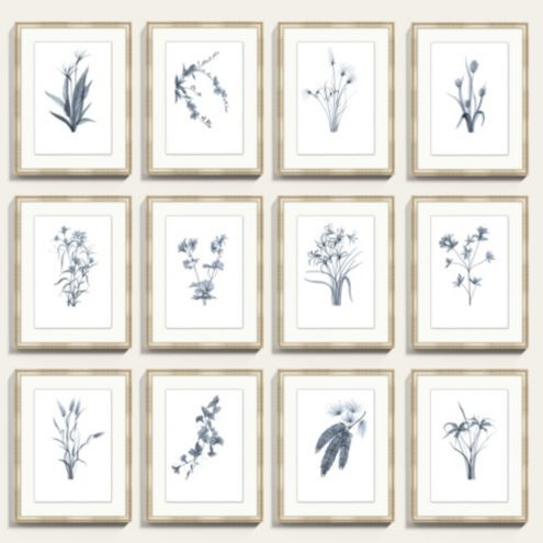 Fragile Blossoms Art   Cornflower & Aged Champagne Frame with Deckled Edges | Ballard Designs, Inc.