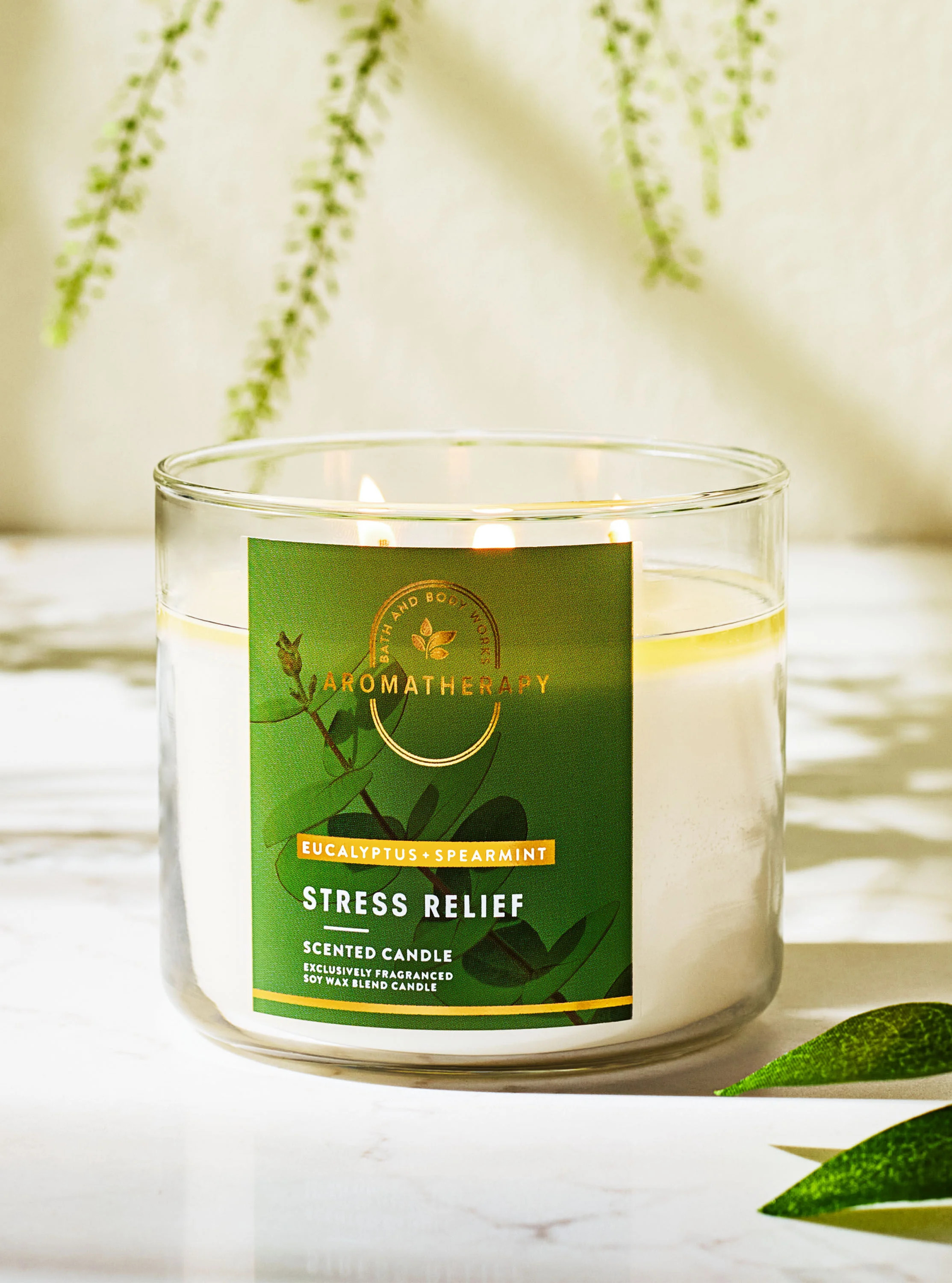 Aromatherapy


Eucalyptus Spearmint


3-Wick Candle | Bath & Body Works