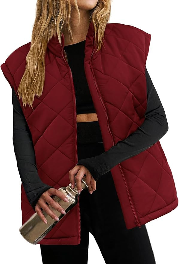 Zeagoo Womens Oversized Puffer Vest Zip Up Stand Collar Lightweight Sleeveless Warm Outerwear Pad... | Amazon (US)