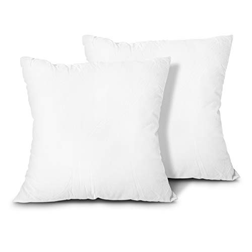EDOW Throw Pillow Inserts, Set of 2 Lightweight Down Alternative Polyester Pillow, Couch Cushion, Sh | Amazon (US)