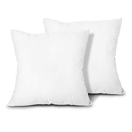 Set of 2, Cotton Down Alternative Decorative Throw Pillow Insert, Square, 20X20 Inches | Amazon (US)