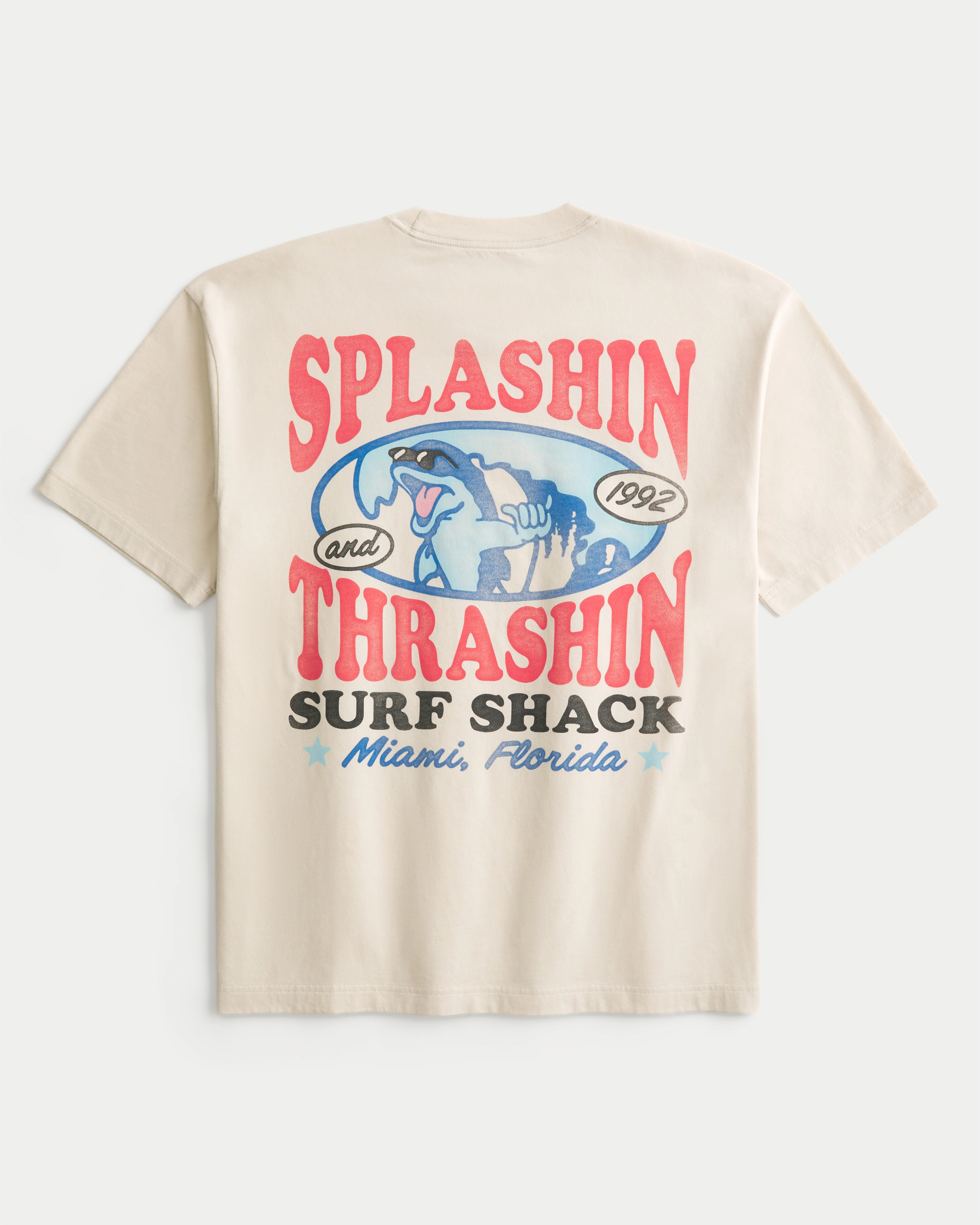Boxy Splashin Thrashin Graphic Tee | Hollister (US)