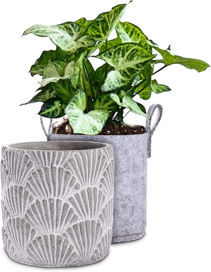 Concrete Pot for Plants Outdoor and Indoor - 6" Shell pots for Plants , Ocean Theme Distressed Wh... | Amazon (US)