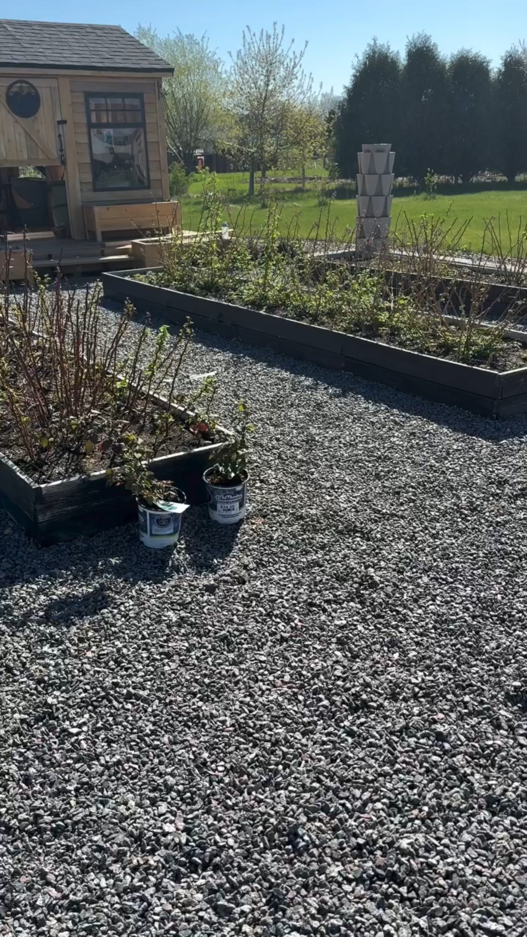 I’ve loved watching this space change with every season — proof that a garden really is a living thing. 🌿

Growing in raised beds (like these cedar ones from @eartheasy ) makes gardening easier in so many ways — better drainage, warmer soil in spring, fewer weeds, and less bending to plant or harvest.

It’s a setup that looks good and works hard, no matter the season. 🌸

🛒 shop the sale, link in my bio