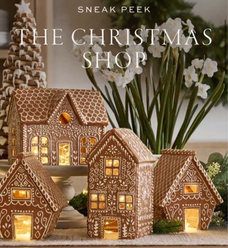 The Potterybarn gingerbread village is back and in stock! I got this set last Christmas and I love it.

#christmasinjuly #christmas2024 #gingerbread #potterybarn #homedecor

#LTKHome #LTKSummerSales #LTKFindsUnder50