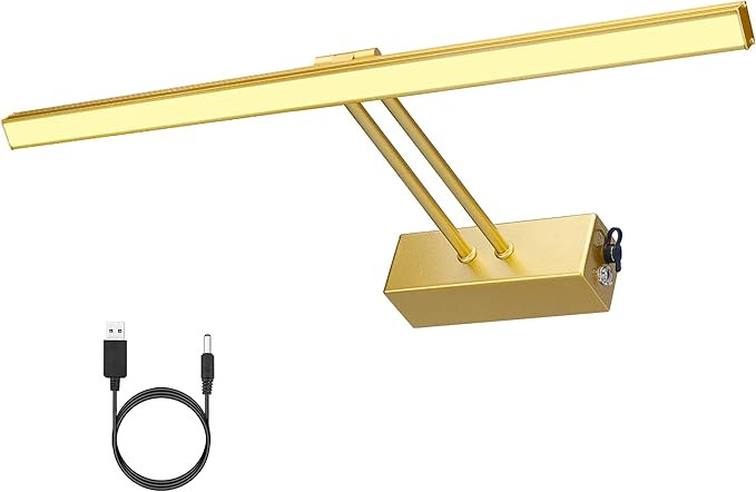 RAIFOOLLY Picture Lights for Paintings,Wireless Picture Light with Brightness Dimmable,16 in Rech... | Amazon (US)