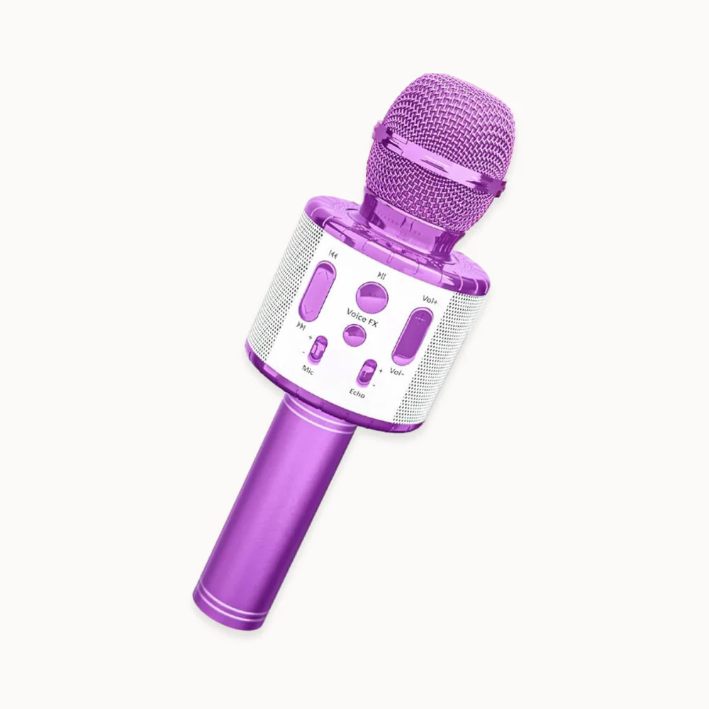 Kids Karaoke Microphone - Lavender | Move2Play (US)