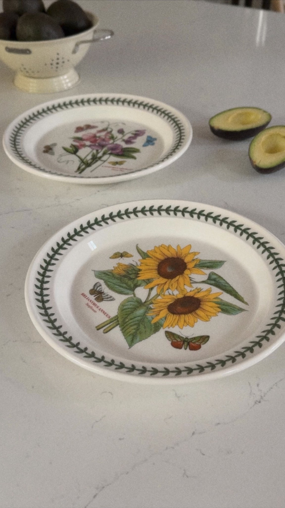 My dinner plates on sale for way day!!