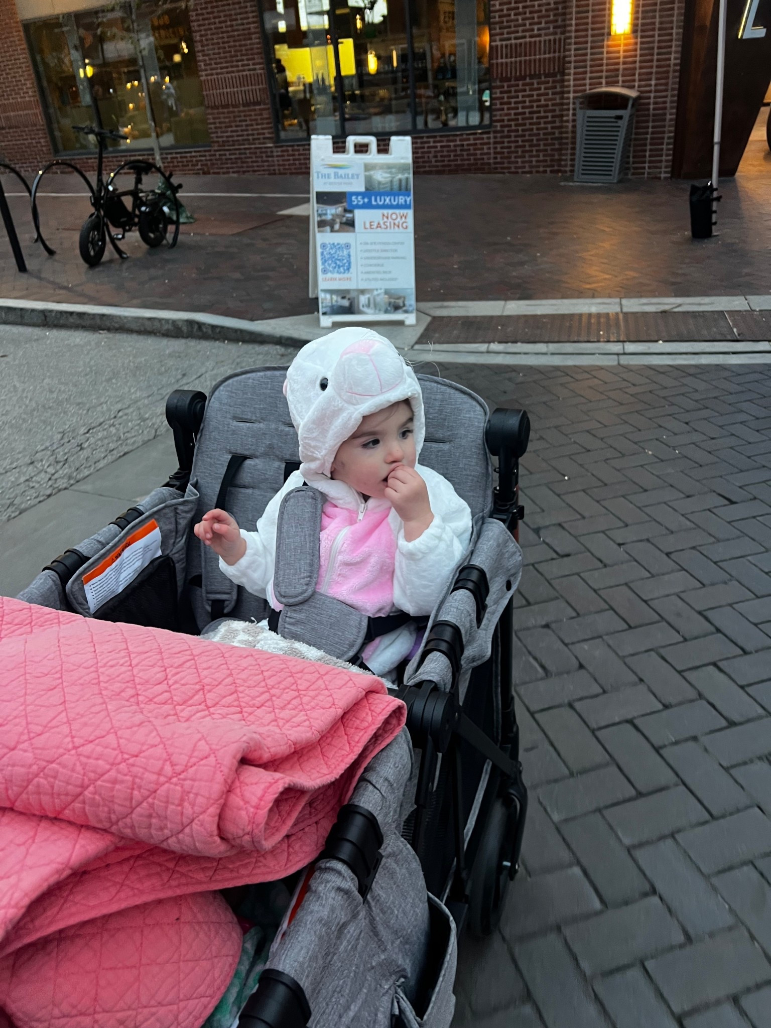 Stroller wagons for your little babes!