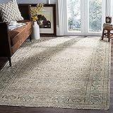 SAFAVIEH Izmir Collection Area Rug - 9' x 12', Linen & Dusty Teal, Hand-Knotted Traditional New Z... | Amazon (US)
