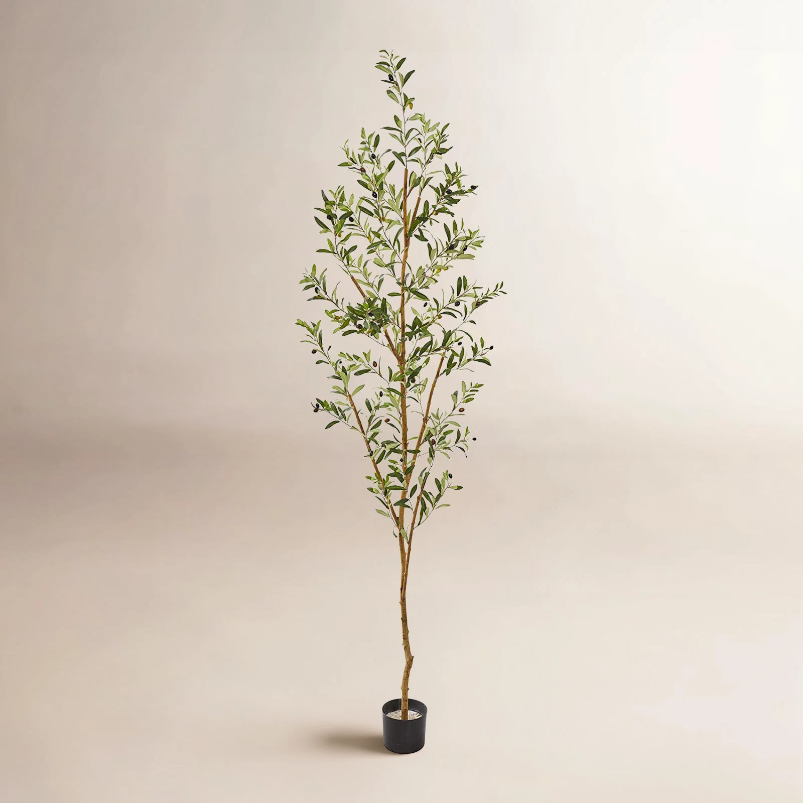 ByBirch Lane™ | Wayfair North America