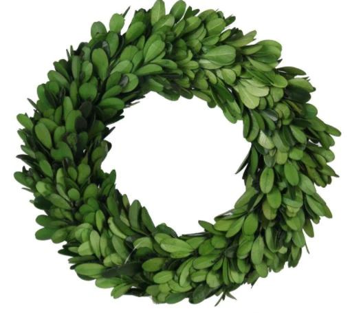 7.75" PRESERVED BOXWOOD WREATH GREEN W/GRAPEVINE BASE | The Nested Fig