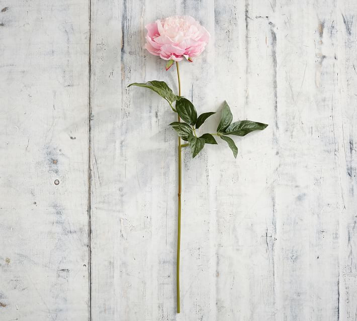 Faux Peony Stems | Pottery Barn (US)