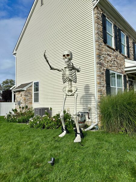 10ft skeleton! 

#LTKSeasonal #LTKhome #LTKHalloween