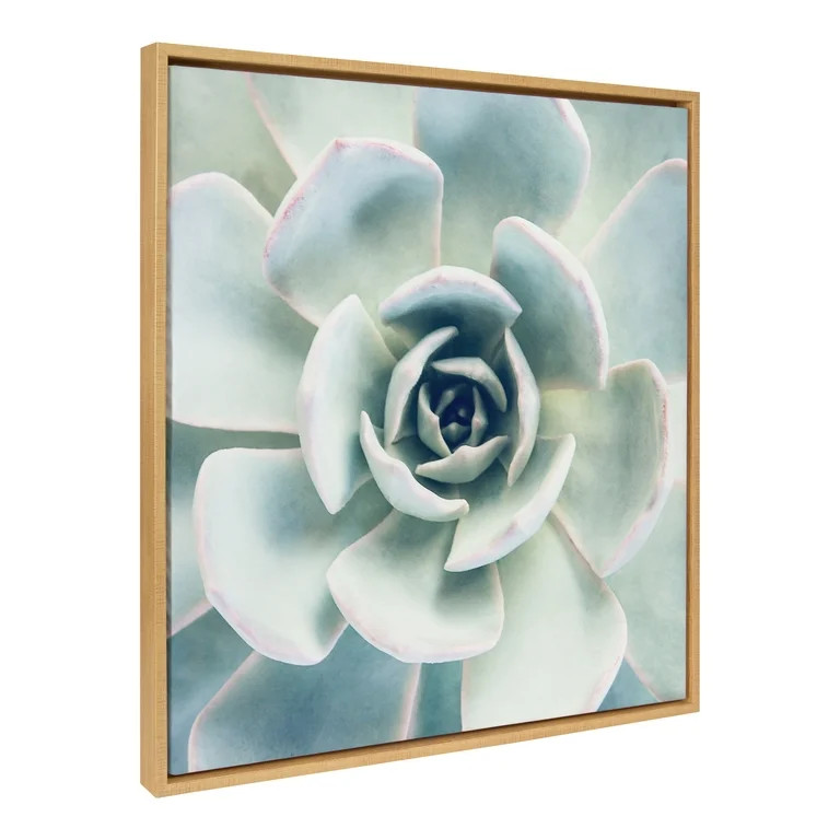Kate and Laurel Sylvie Botanical, Succulent 7, Color Photograph, Framed Canvas Square Wall Art by... | Walmart (US)