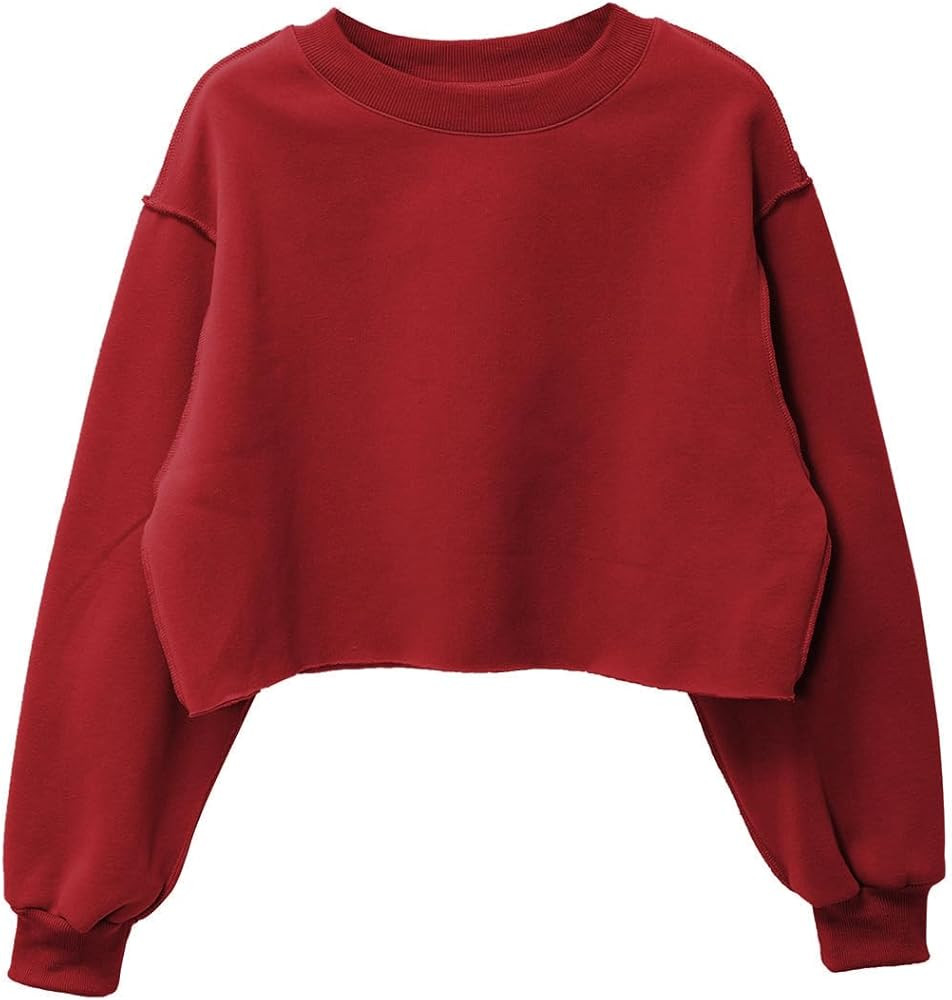 Amazhiyu Women Cropped Sweatshirt Long Sleeves Pullover Fleece Crop Tops | Amazon (US)