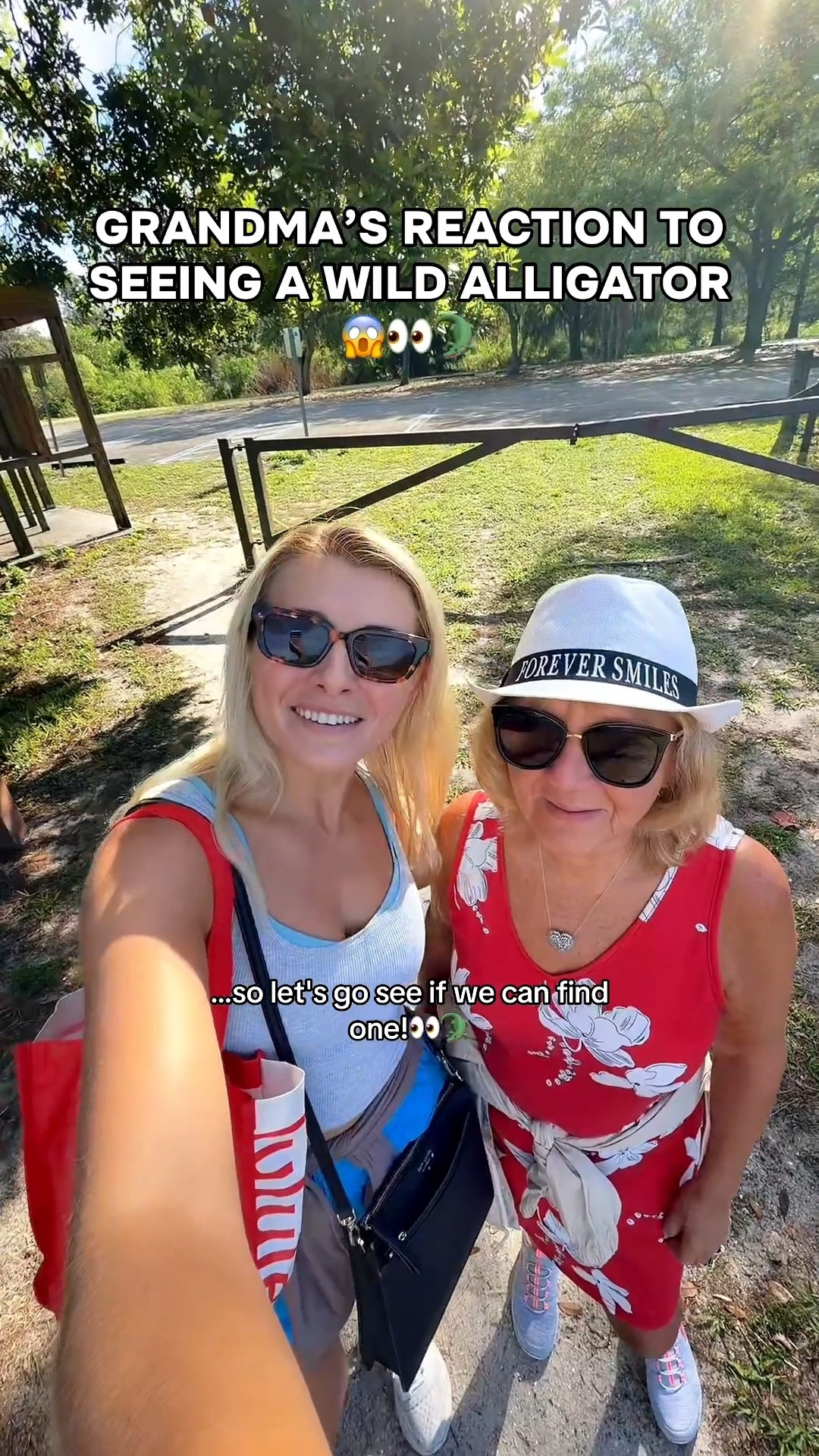 Wait til the end to hear what grandma thinks about gators 😂🥹🐊 What should I show grandma next?😅🦈🐳🐙🐬🐻🐼🐨🦬🐍🐸🐒🐢 

#alligator #grandma #funnygrandma #wildlife #gator 

#LTKdayinmylife #LTKstorytime #LTKTravel