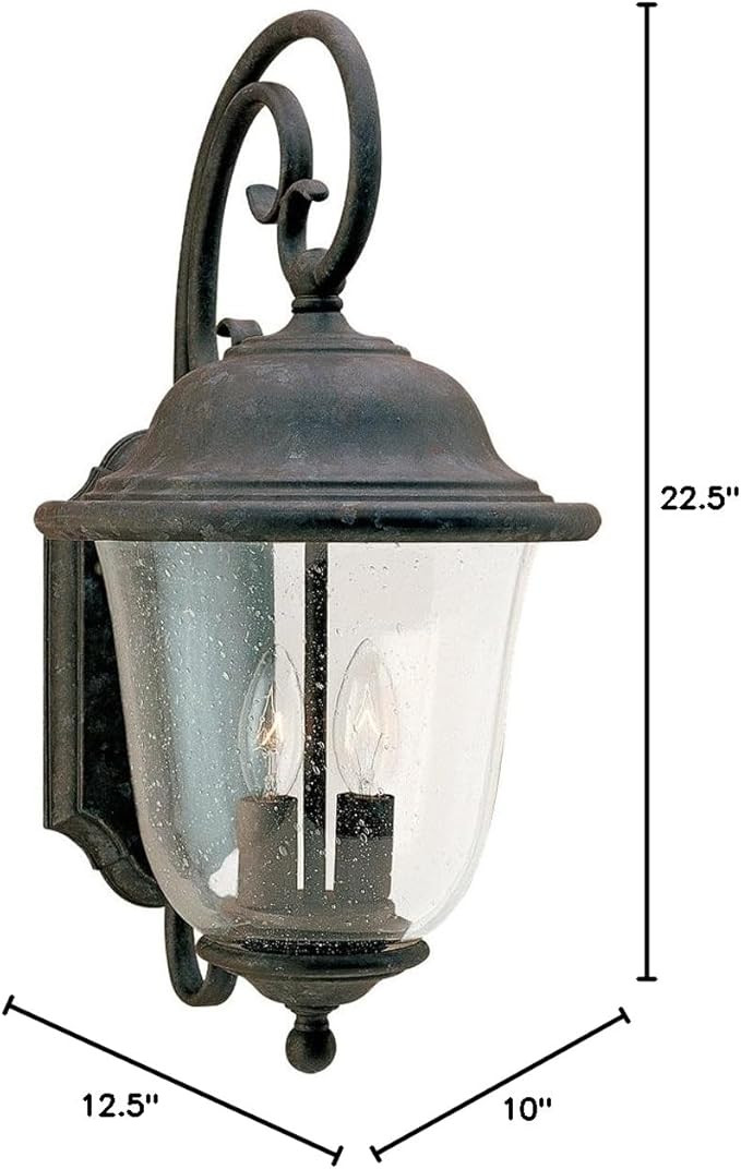 Sea Gull Lighting 8460-46 Trafalgar Two-Light Outdoor Wall Lantern with Clear Seeded Glass Shade,... | Amazon (US)