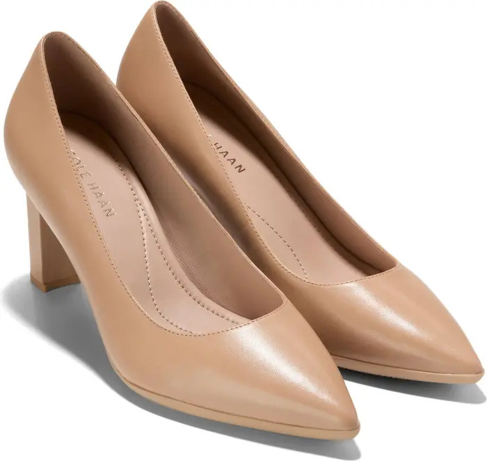 Grand Ambition Angelica Pointed Toe Pump (Women) | Nordstrom