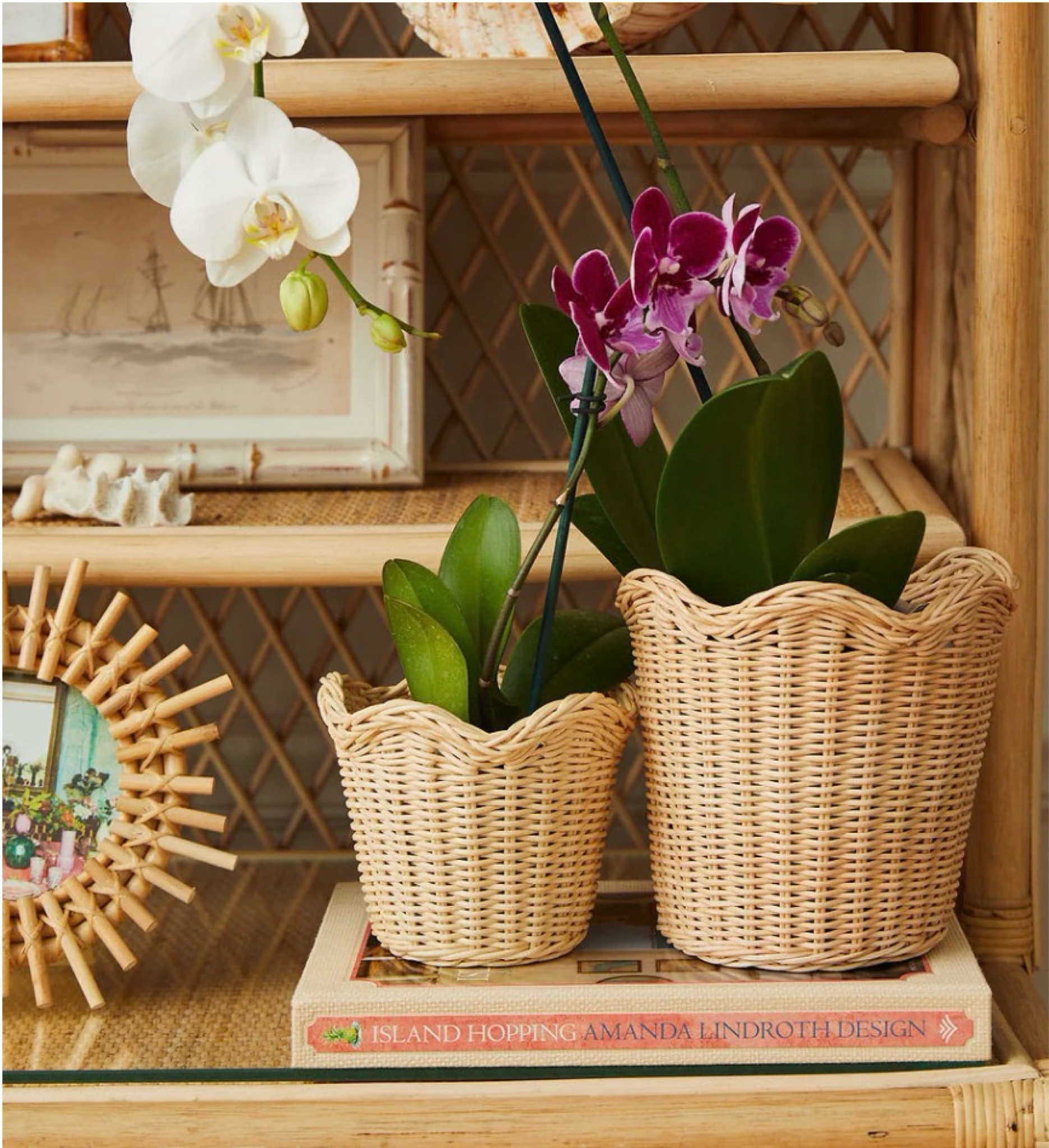 The large wicker rattan wicker pots are still available from Amanda Lindroth! 30% off! I’m also linking my box cutter! 

#LTKhome #LTKGiftGuide #LTKsalealert