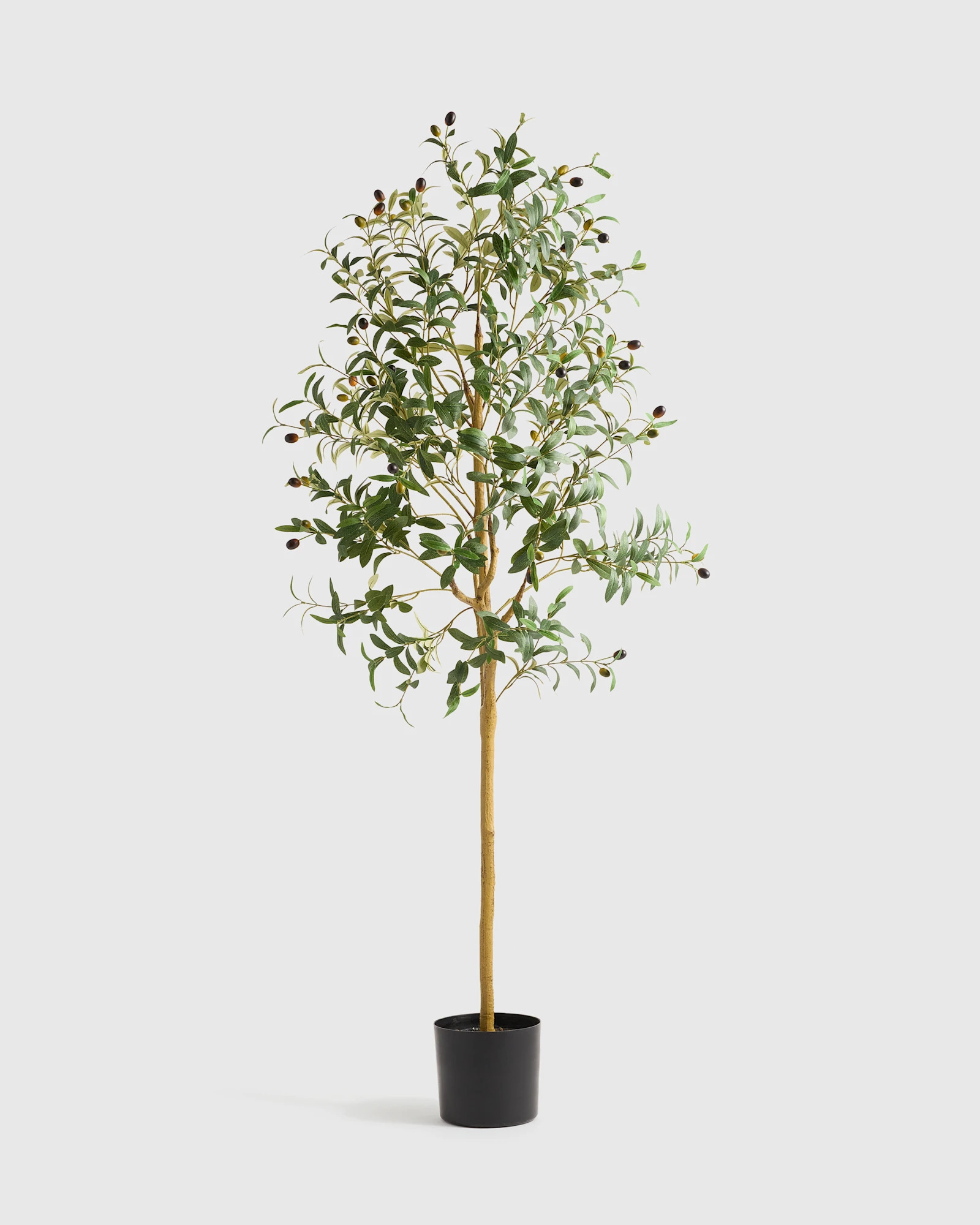 Quince | Faux Olive Tree in Green, Size 6', Polyester | Quince