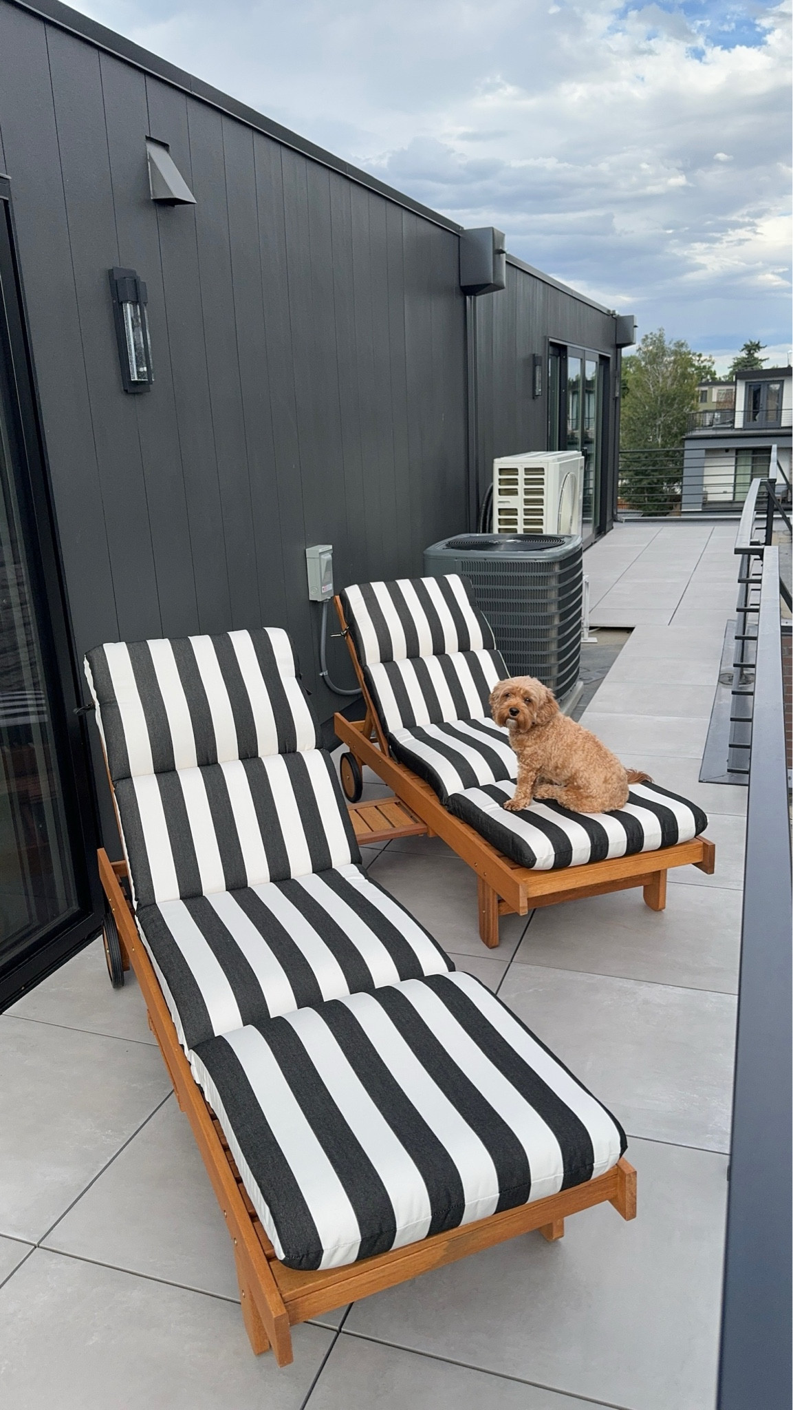 Sun chairs black and white sun pillows patio lounge chairs 



#LTKStyleTip #LTKHome #LTKSeasonal