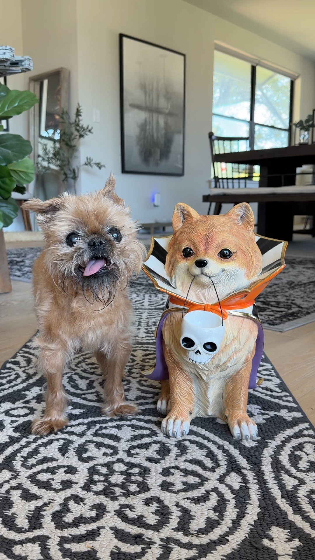 There’s a new dog in town! 
I am in love with this little @MacKenzie-Childs cutie that looks like sweet Steven! 

I linked a ton of the new MacKenzie-Childs Halloween pieces!

#LTKHome #LTKSeasonal
