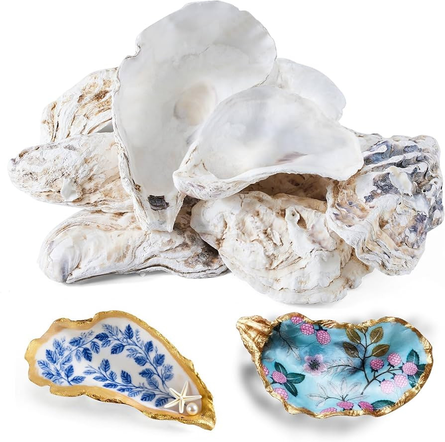 12 Pcs Natural Oyster Shells for Crafts, 5-6 inch Extra Large Seashells for Crafting, Shell Paint... | Amazon (US)