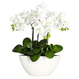 Nearly Natural 15in. Phalaenopsis Silk Flower Arrangement | Amazon (US)