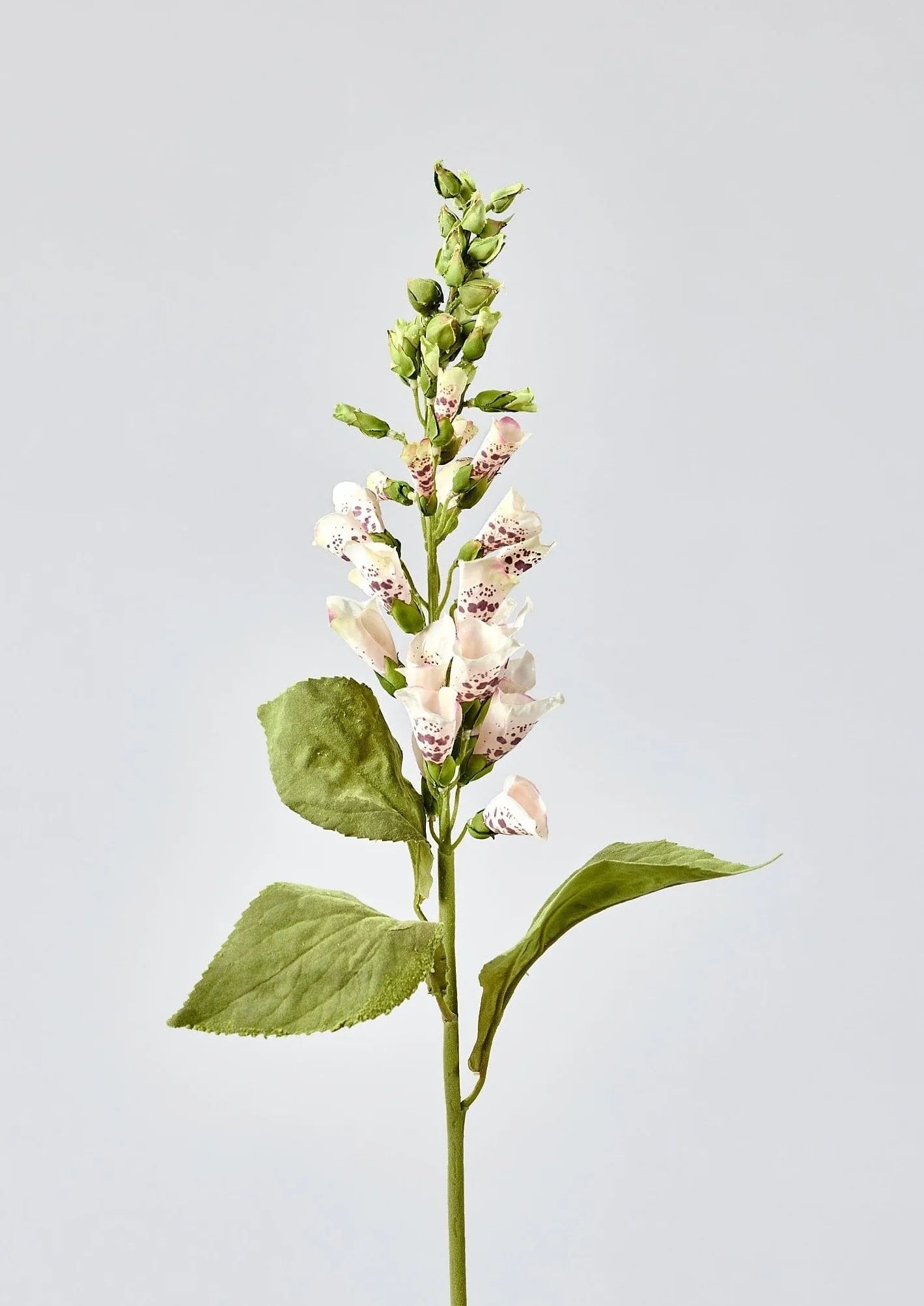 Cream Artificial Foxglove Flower Branch - 31.5" | Afloral