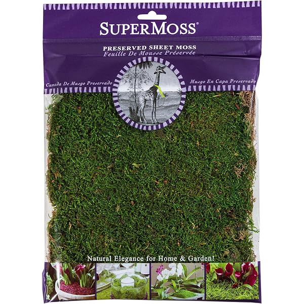 Sheet Moss | Amazon (US)