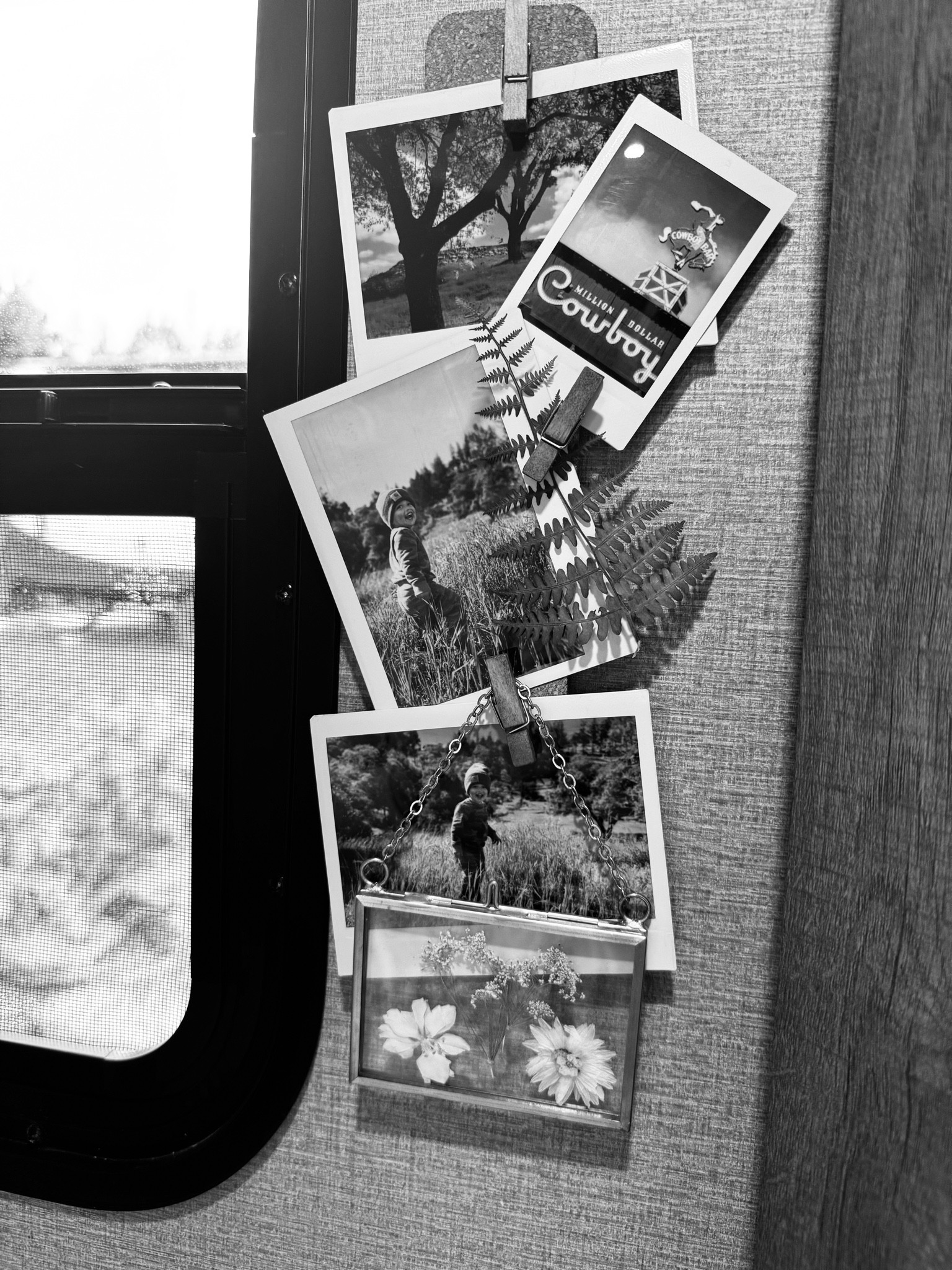 Adhesive bulletin board strips. Perfect for the travel trailer! 

#LTKSeasonal #LTKhome