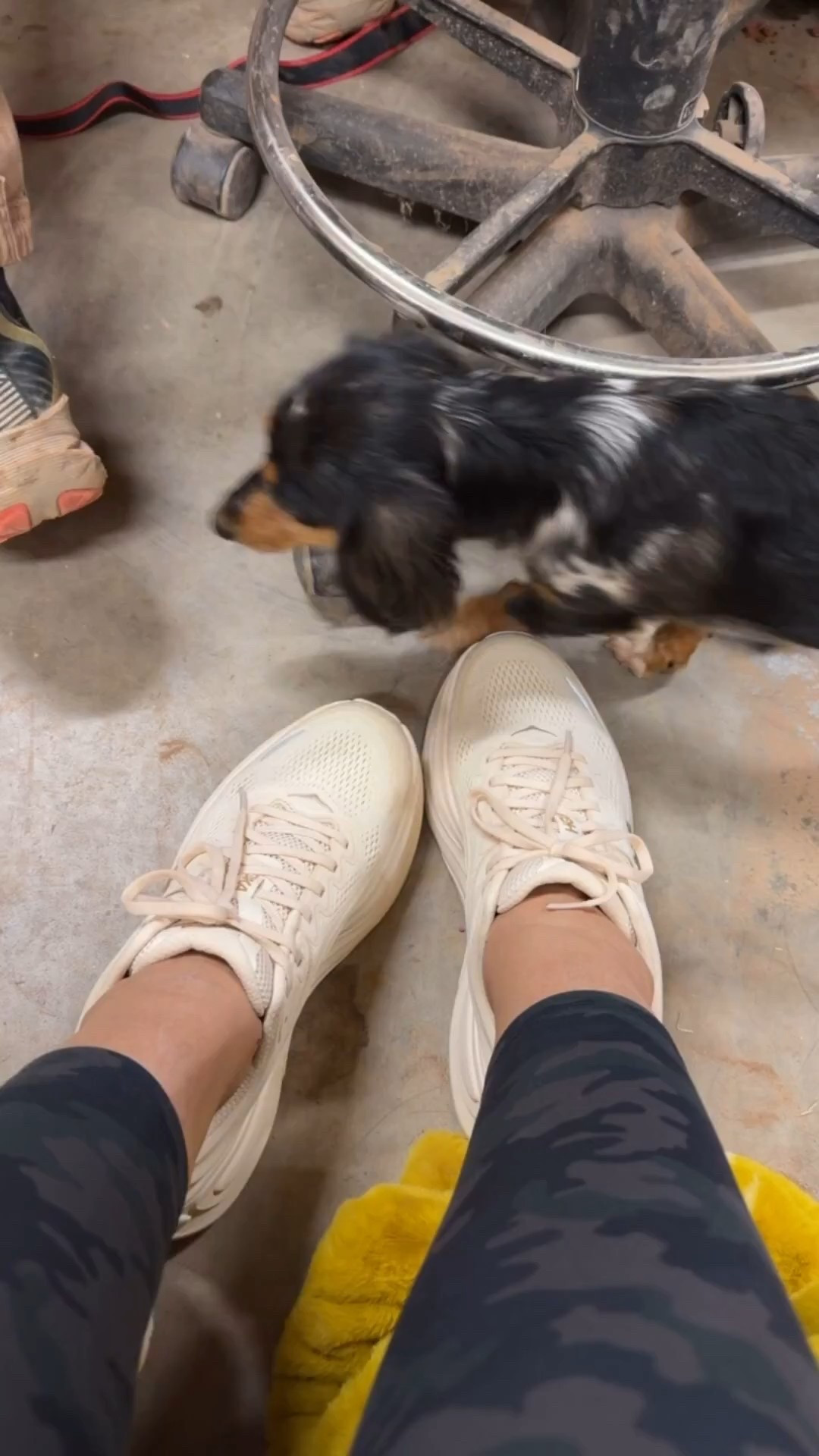 These sneakers are SO comfortable! I’m a 9.5/10 and so a 10 in these. 



#LTKmomlife #LTKActive #LTKU