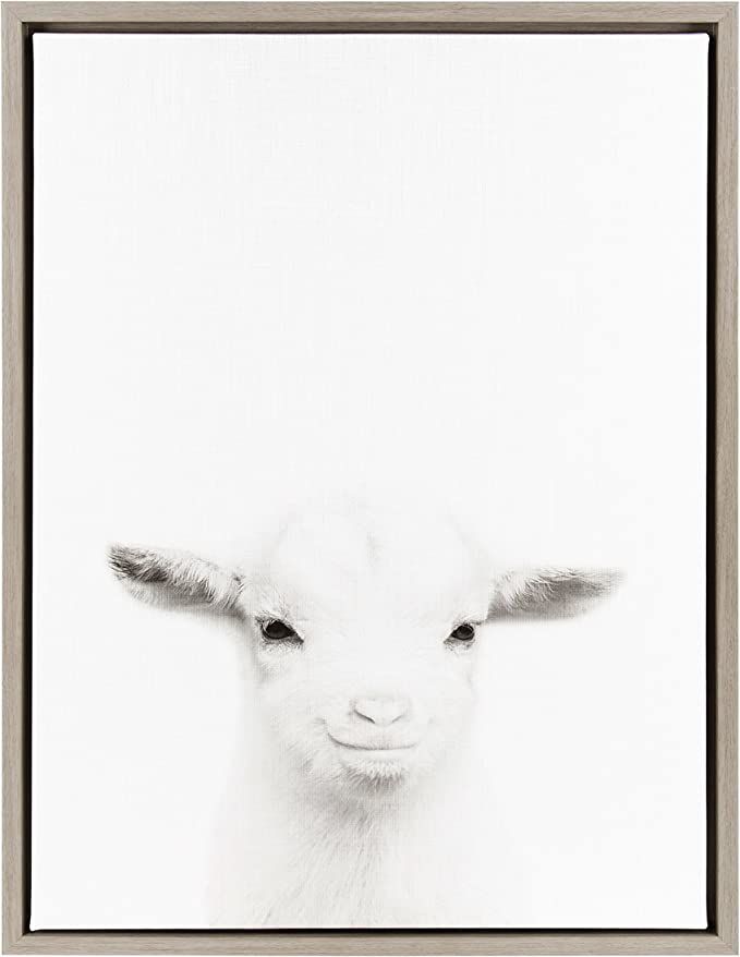 Kate and Laurel Sylvie Baby Goat Black and White Portrait Framed Canvas Wall Art by Simon Te Tai,... | Amazon (US)