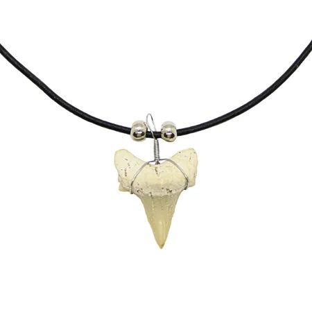 Shark Tooth Necklace for Men Boys Teens Kids - Genuine Fossil Pendant on Stylish Leather Necklace -  | Walmart (US)