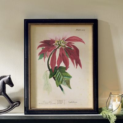 Framed Poinsettia Wall Art | Grandin Road