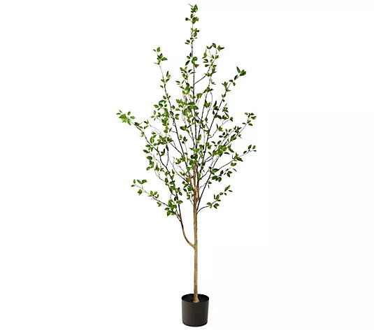 Nearly Natural 6.5' Minimalist Citrus Artificial Tree - QVC.com | QVC