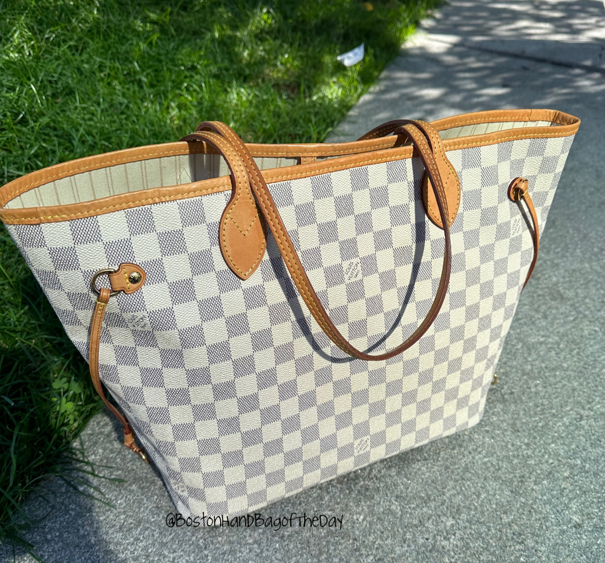 What Happened to my Louis Vuitton Neverfull MM Azur Rose Ballerine