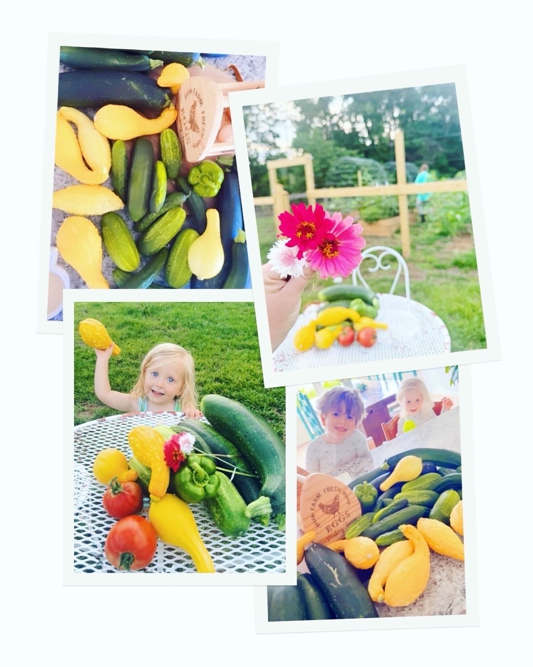 g a r d e n  g o o d n e s s 🪴 🧺🍅🥒💛💐🫐🫑 #myfavoritetimeofyear #gardenseason 

We are 🧺 o v e r f l o w i n g 🧺 with homegrown veggies 🥗 in this farmhouse 🏡… thank you, Lord!! 👩‍🌾🫑🌼🌿🪴 #summergardenofmydreams
#happygardenhappymama #farmgardenharvest