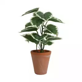 Habitat Artificial Faux Plant in Terracotta Pot | Habitat UK