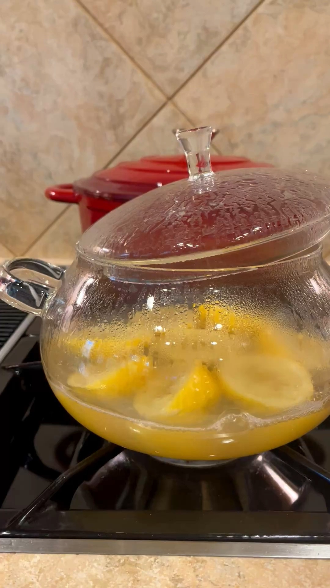 Lands up I use this year round! I just throw in lemons, oranges, sometimes just the peels, cinnamon,  drops of vanilla, rosemary whatever I have on hand!  Love how durable simmering pots are too👍 I've linked a few affordable options for you!

#LTKSeasonal #LTKHome #LTKdayinmylife