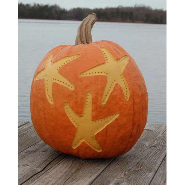 Large Starfish Pumpkin | Wayfair North America