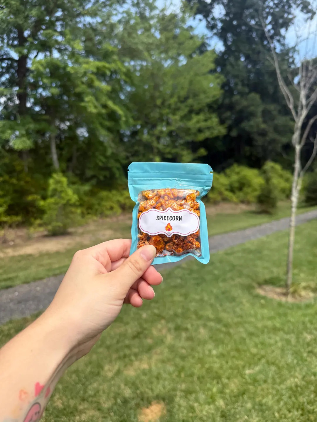 SPICECORN- Hermit Crab Popcorn - Healthy Snacks - Hermit Crab Food | Etsy (US)