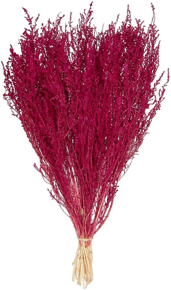 Vickerman 14-18" Raspberry Stoebe Bundle. Comes 3.5 oz per Bundle. | Amazon (US)