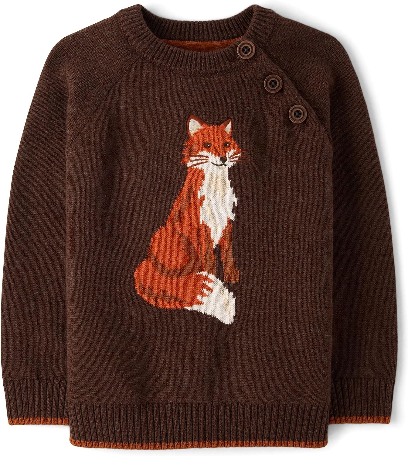 Gymboree Boys' and Toddler Long Sleeve Crew Neck Sweater | Amazon (US)