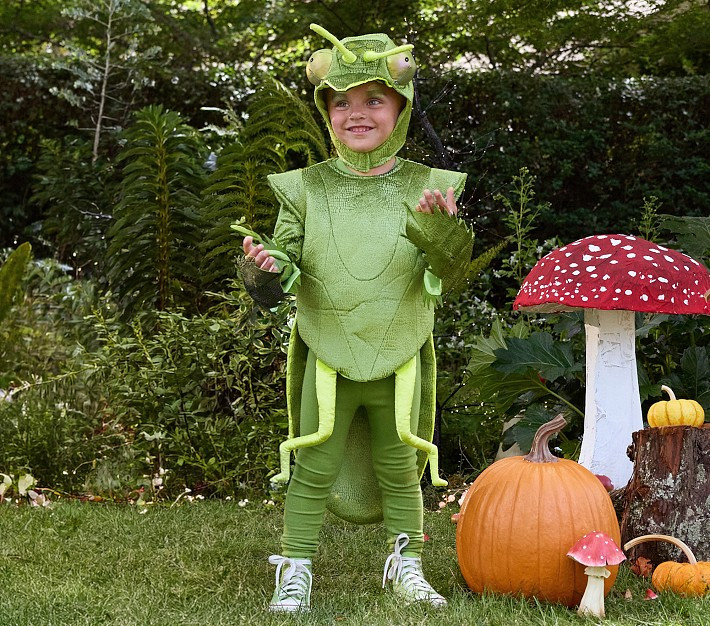 Light-Up Praying Mantis Halloween Costume | Pottery Barn Kids