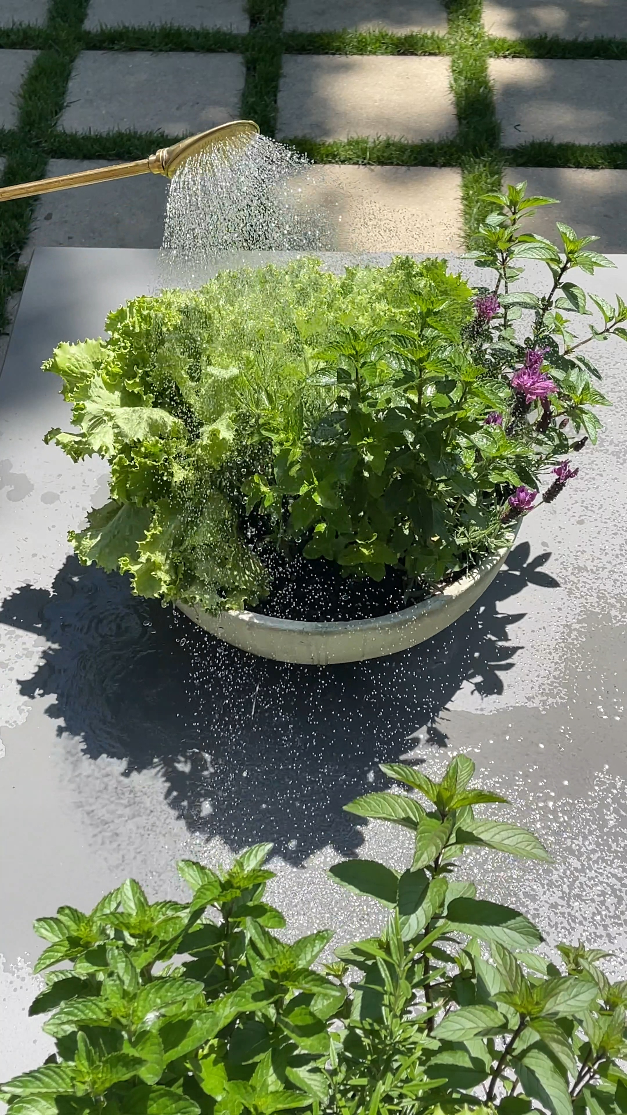 The perfect hose reel for spring!

Spring finds. Home accessories.


#LTKhome #LTKFind