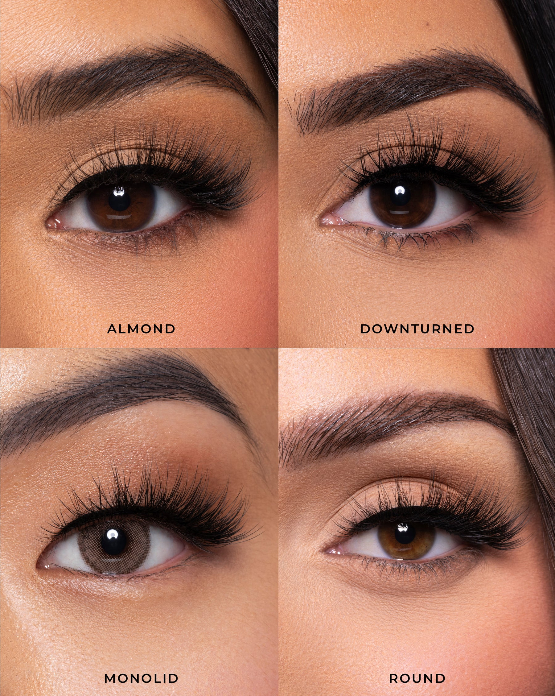 MoneyMaker | Lilly Lashes