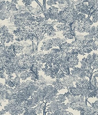Chesapeake 3112-002724 Blue Blyth Toile Wallpaper | Amazon (US)